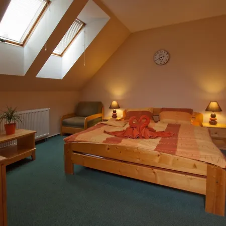 Guest house U Cerneho Capa Lasenice