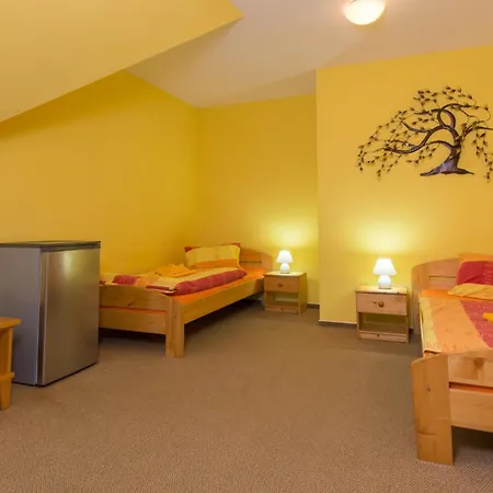Guest house U Cerneho Capa *