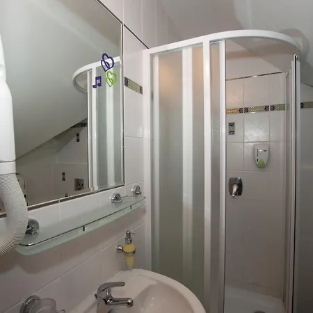 Guest house U Cerneho Capa 3*